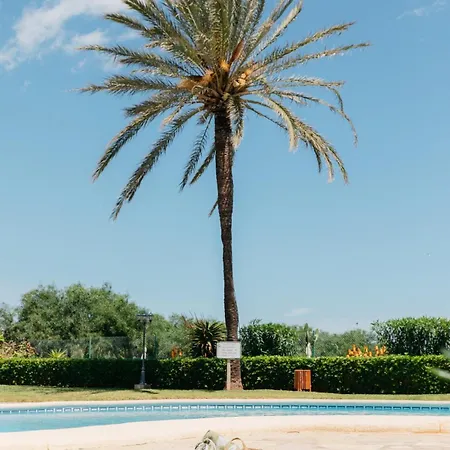 First Line With Pool, Ideal For Families Appartamento